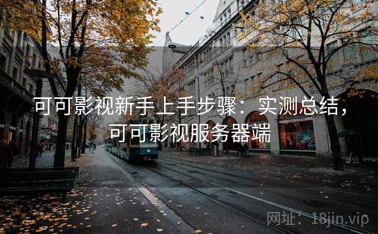 可可影视新手上手步骤：实测总结，可可影视服务器端