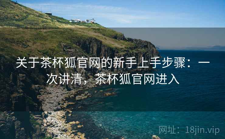 关于茶杯狐官网的新手上手步骤：一次讲清，茶杯狐官网进入